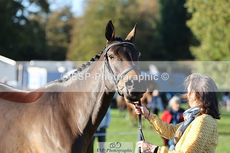 241027-091023-15087 - 445-Danielle.Burnford-ULTRA.LIGHT