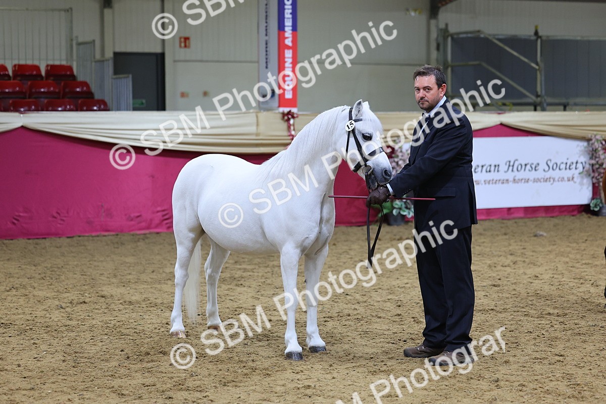 SBM_18644 - Class C Best Turned Out Champ