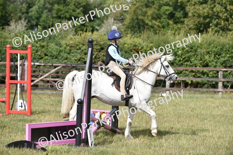 20250831-1788 - Class 8 - Hoof and Foot