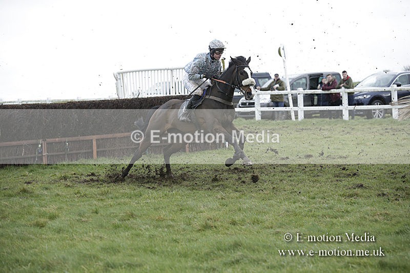 PtP 150320 0495 - New Forest Point-to-Point Larkhill 15/03/20