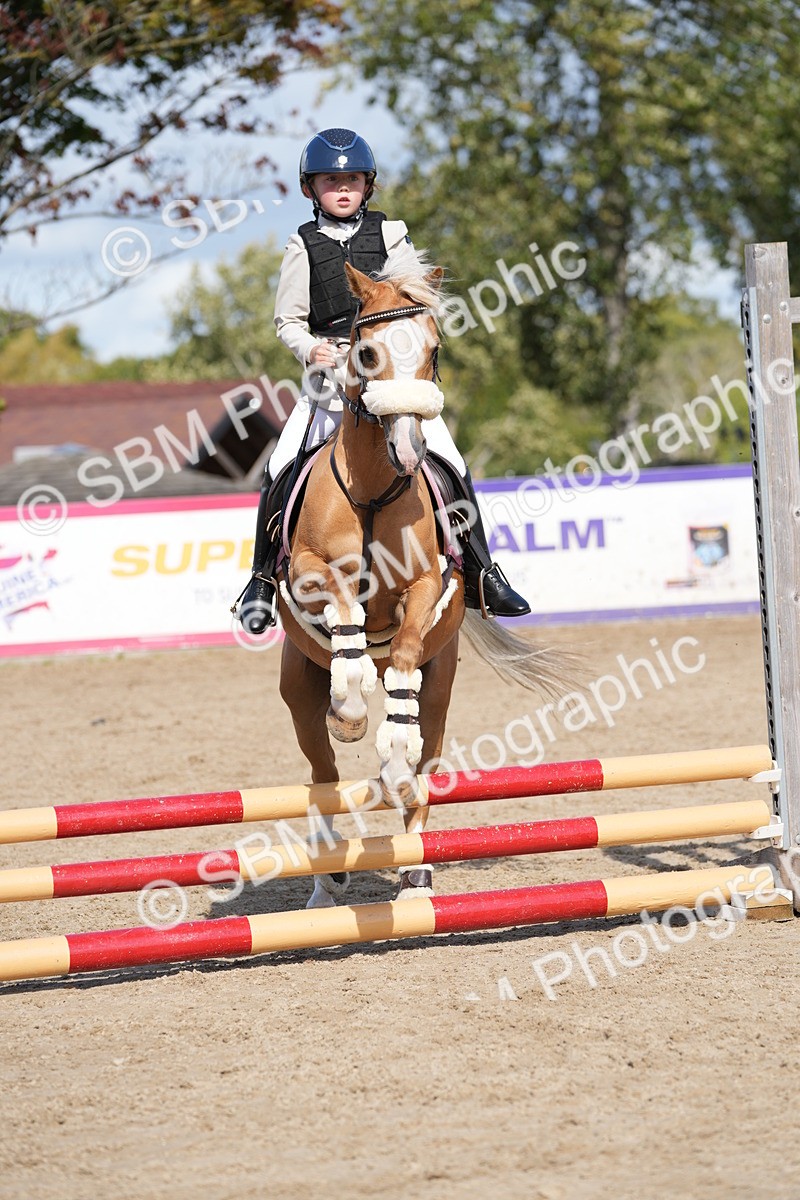 SBM_18157 - J58 - Clear Round 50cm