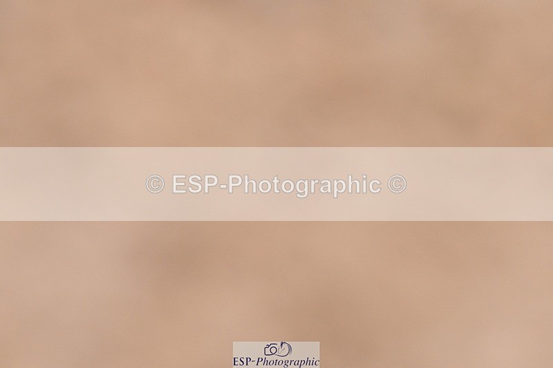 240121A-094757-00289 - Cls 2 Prelim 17A