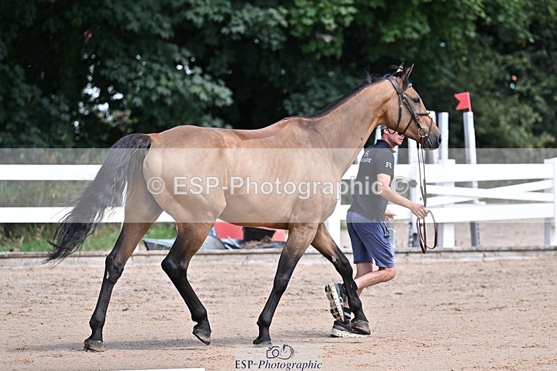 250716-124223-00126 - Trot Up 12.30 to 1.30