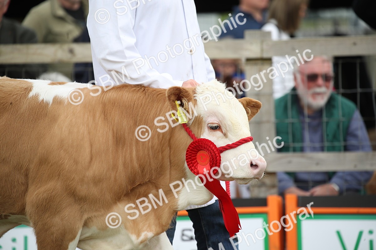 SBM_07864 - Grand Parade