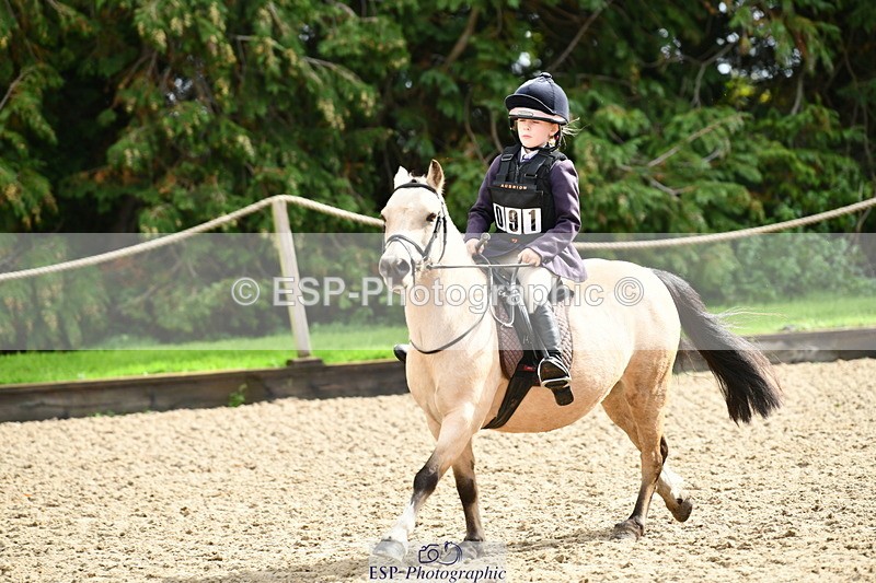 251004A-121940-00990 - Classes 4 & 5 50cm