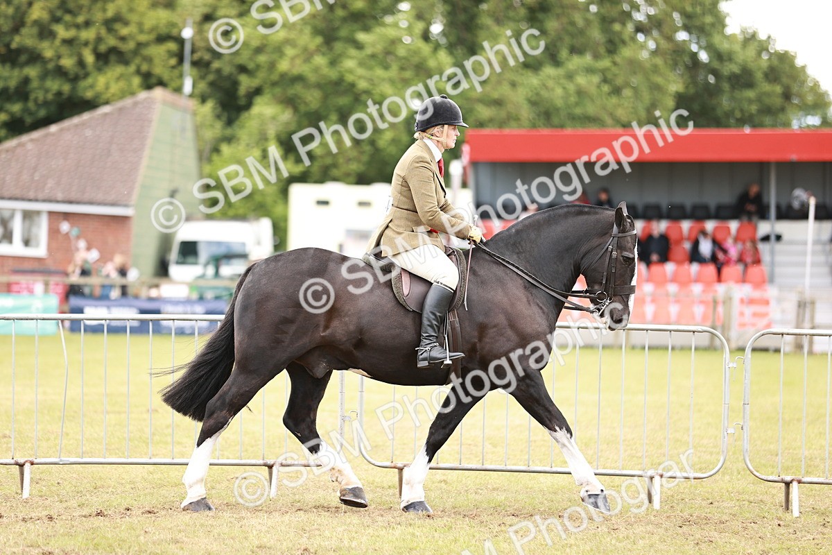 SBM_14086 - Class 85-87 - RIHS Cobs