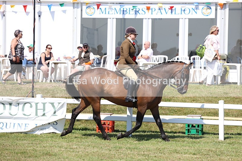 3E7A7467 - Rising Star Ridden Championship