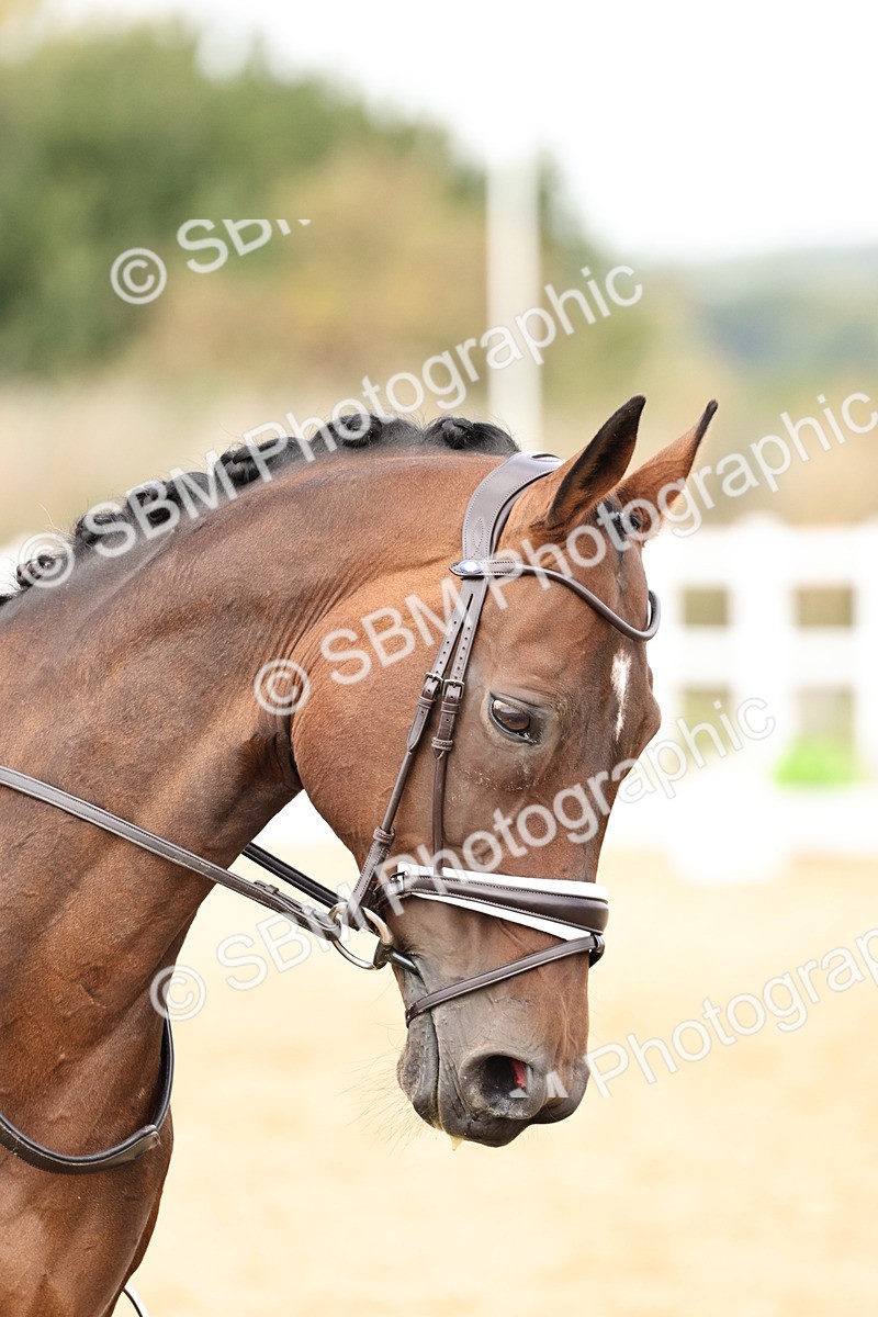 SBM_013092 - Class 3 - Novice 4 - 11.43-12.25