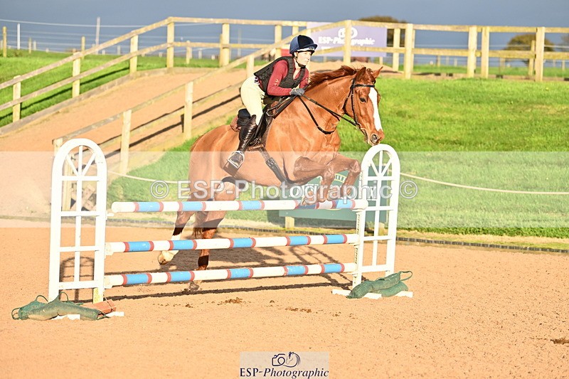 241110A-150326-01431 - 1m