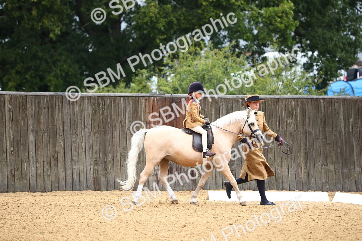 SBM_34555 - D26 - Starters Lead Rein