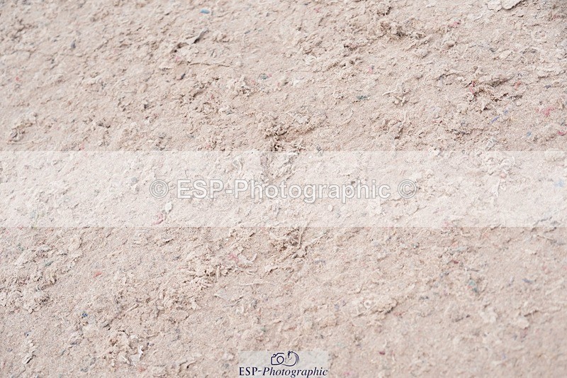 250525-110854-09223 - Cls 32 A&B Snr Brit Nov & 90cm Open