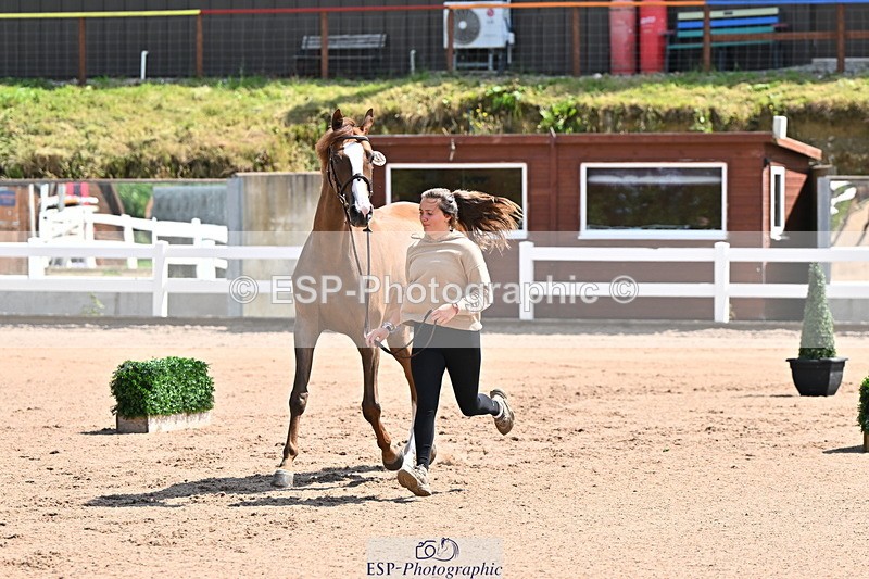 240718A-105239-00988 - Trot Up 11am to 12pm