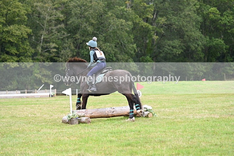 WJ7_7679 - 40cm Time 10:49 to 11:18