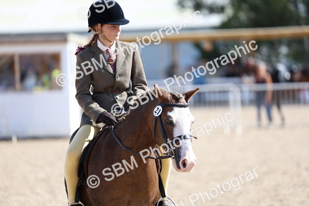 SBM_13324 - Class 311 - Ridden Show Pony Show Hunter Pony