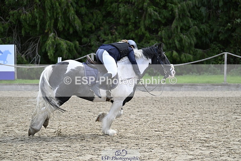 251005A-121448-03670 - Cls 08 Mini 70-75cm