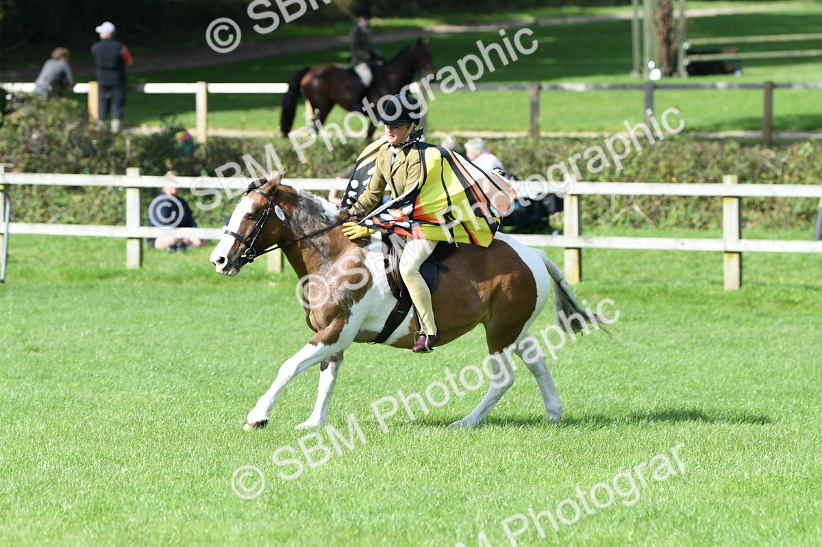 SBM_47115 - S12 - Family Horse & Pony