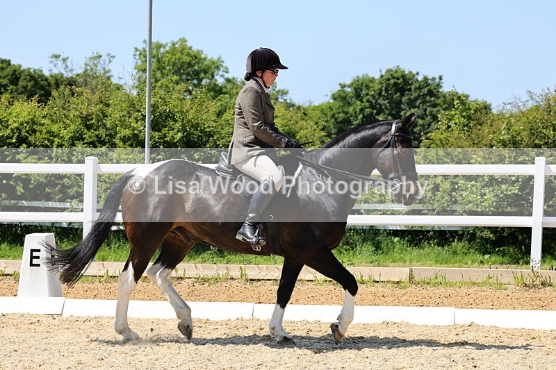 1X9A1681 - Class 11: Ridden Cob
