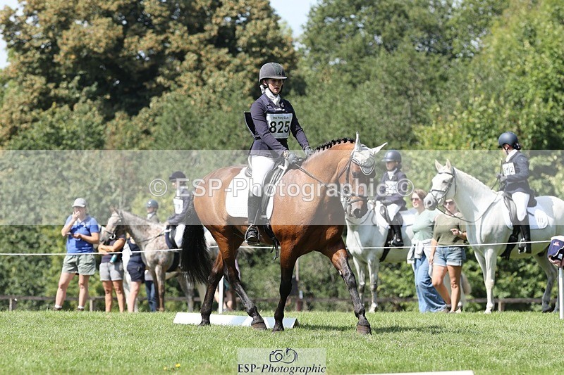 250823A-132511-31304 - Arena D