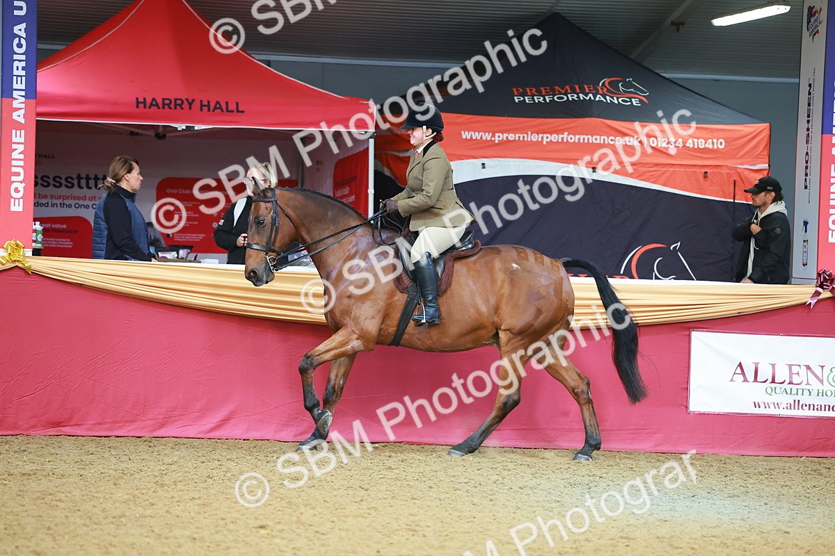 SBM_09508 - Class 102 - HOYS Veteran Qualifier - Ridden Veteran