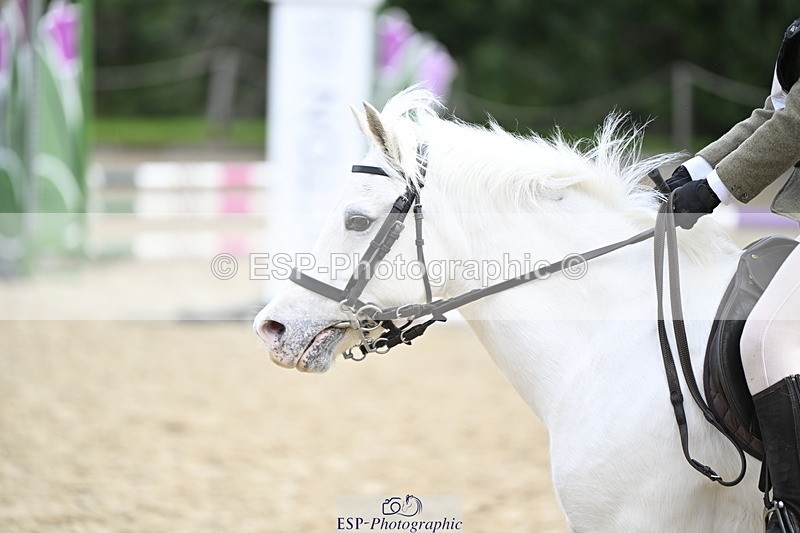 251005A-102615-03299 - Cls 04 GR 70cm