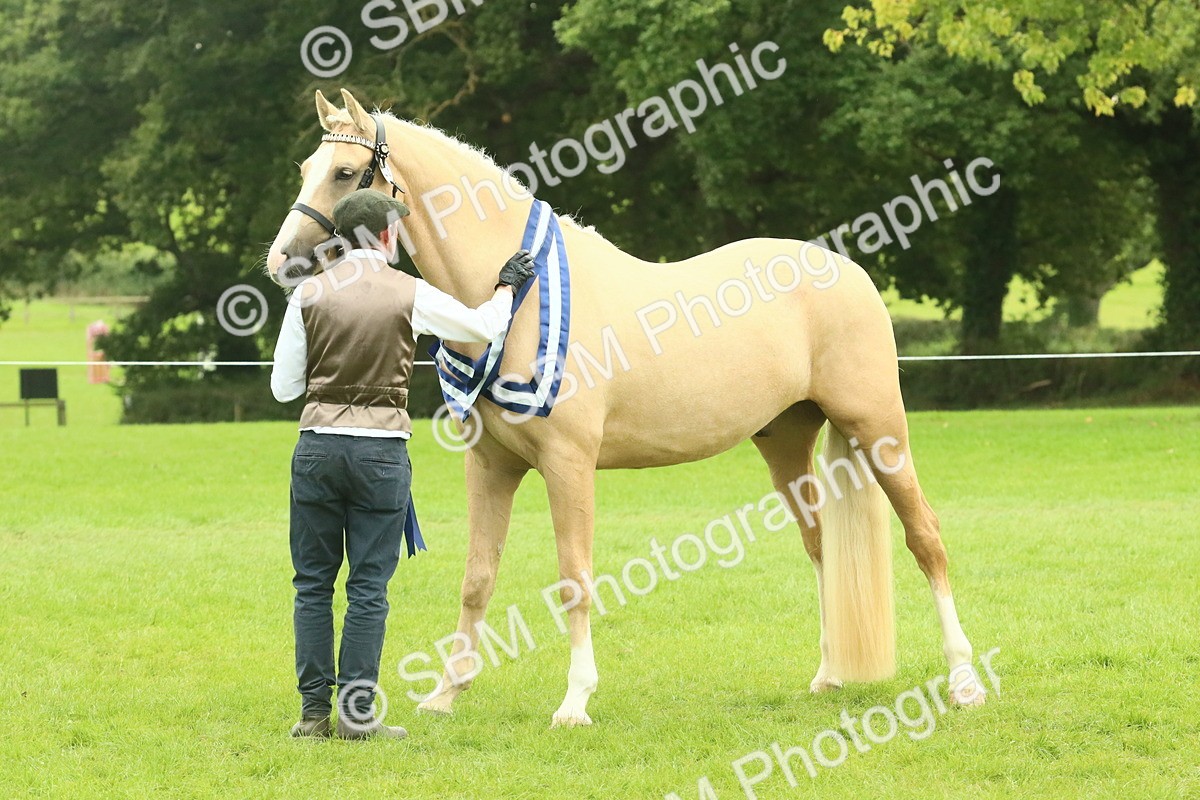 SBM_75142 - Super Supreme Championship