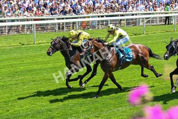 120725-Race 1-Remmooz-5514 - Race 1 2.00pm John Smith's Racing Handicap