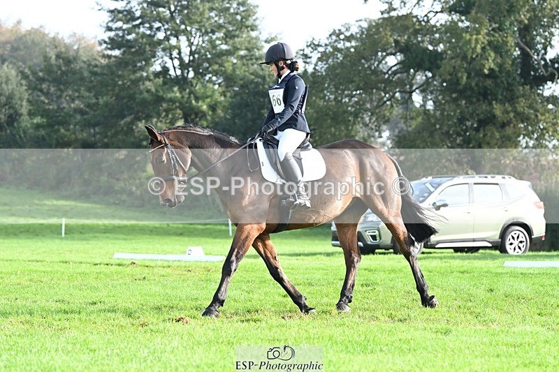 231020-095740-05817 - 466-SPARHANGER.VELVET-Tichy.Sanders-DR