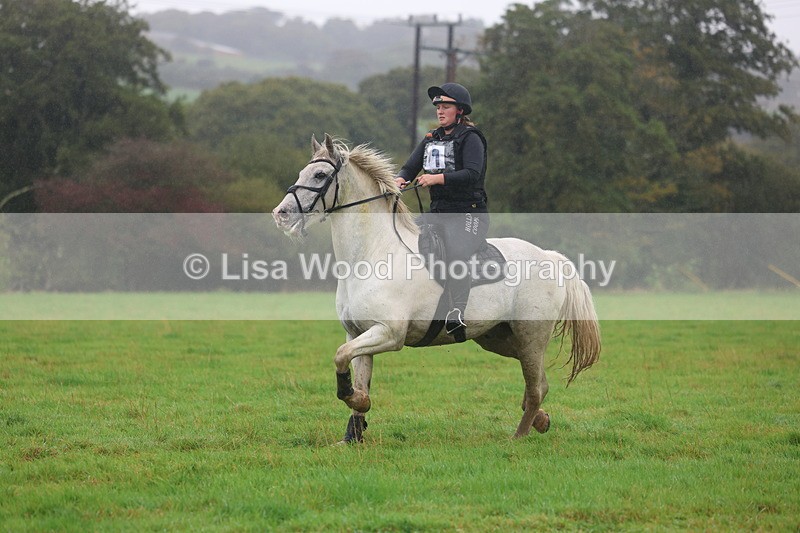 3E7A0964 - Class 1: 65cm: Rails