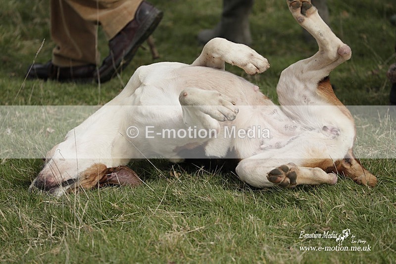 PtP 190323 486 - Oakley Hunt Point-to-Point Brafield-On-The-Green 19/03/23