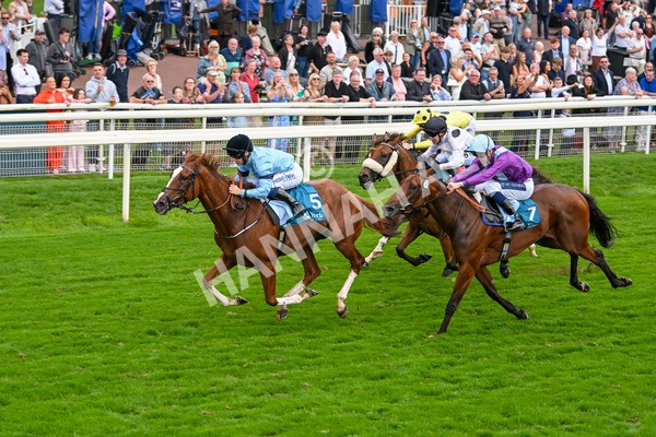 080925-Race 6-Rhapsody-7791 - Race 6 5.00pm Sky Bet Build A Bet Fillies' Handicap