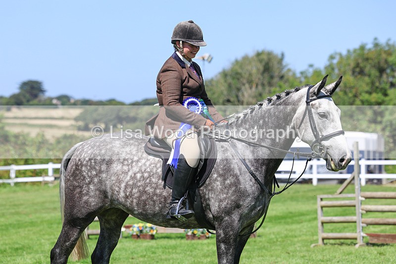 3E7A9318 - Working Hunter Championship