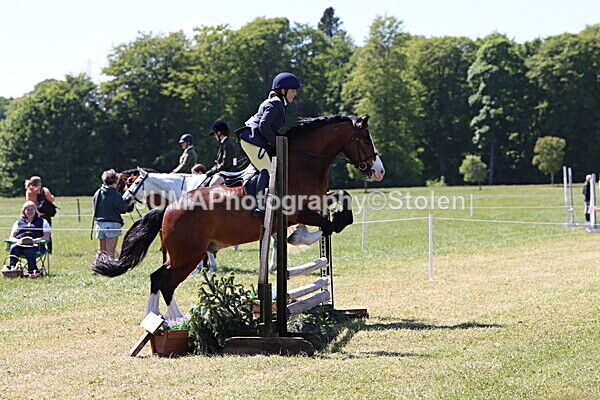 IMG_4050 - Working Hunter