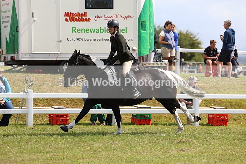 3E7A9790 - Class 5: Rising Star Lightweight/Heavyweight Cobs