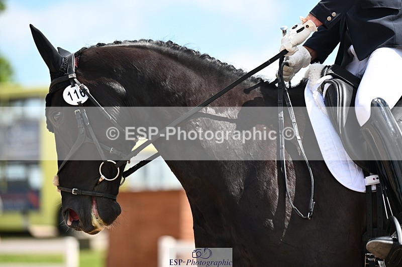 240621A-120112-02455 - Cls 5 BD Novice 37A