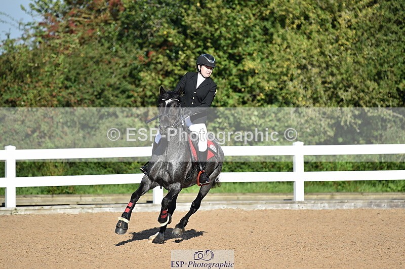 230903A-091210-03457 - Cls 17 Pony Intro 75cm