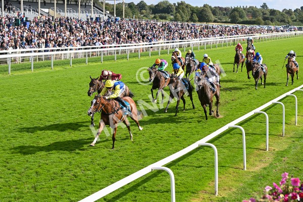 230824-Race 5-Canoodled-9742 - Race 5 4.10pm Assured Data Protection EBF Fillies' Handicap