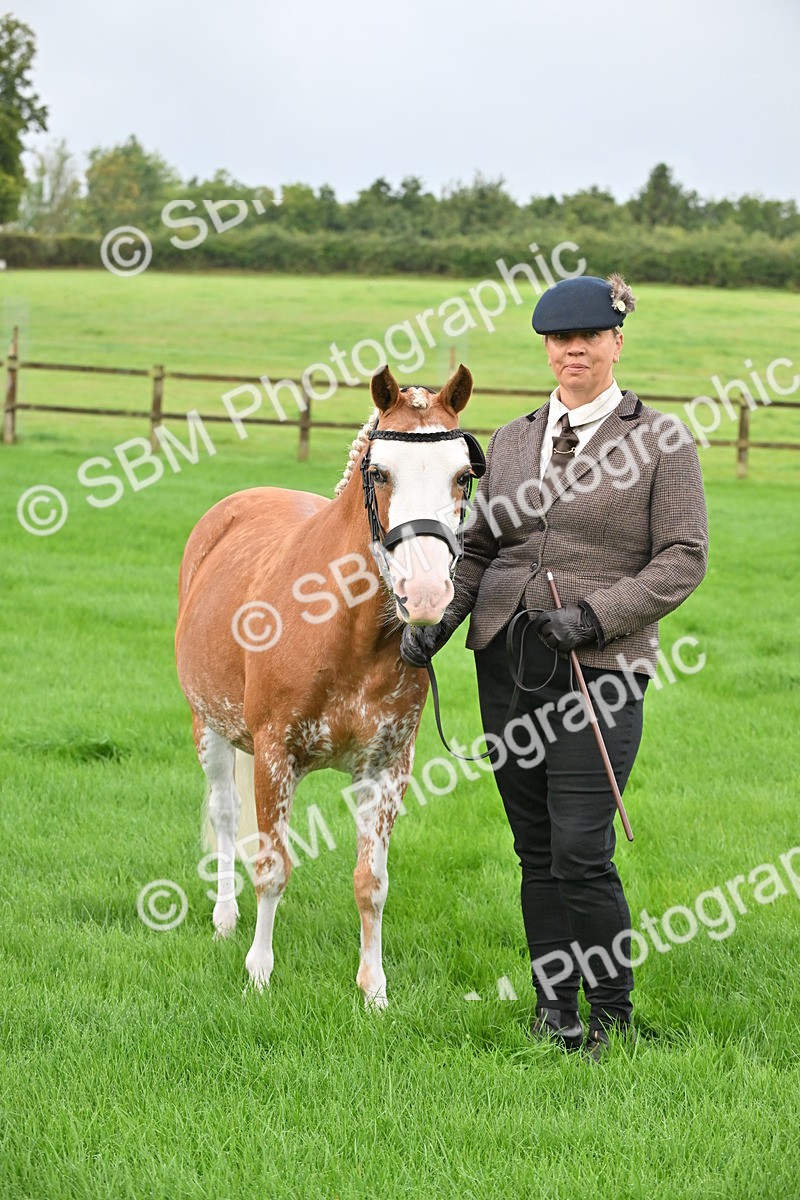 SBM_32641 - S15 - Top Turnout In Hand