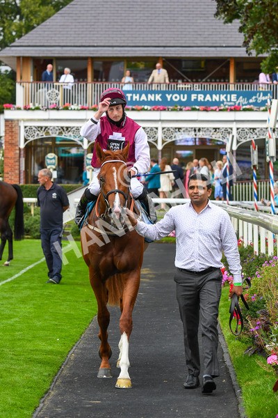 230823-Race 7-Zoulu Chief-0988 - Race 7 5.20pm Sky Bet Nursery Handicap