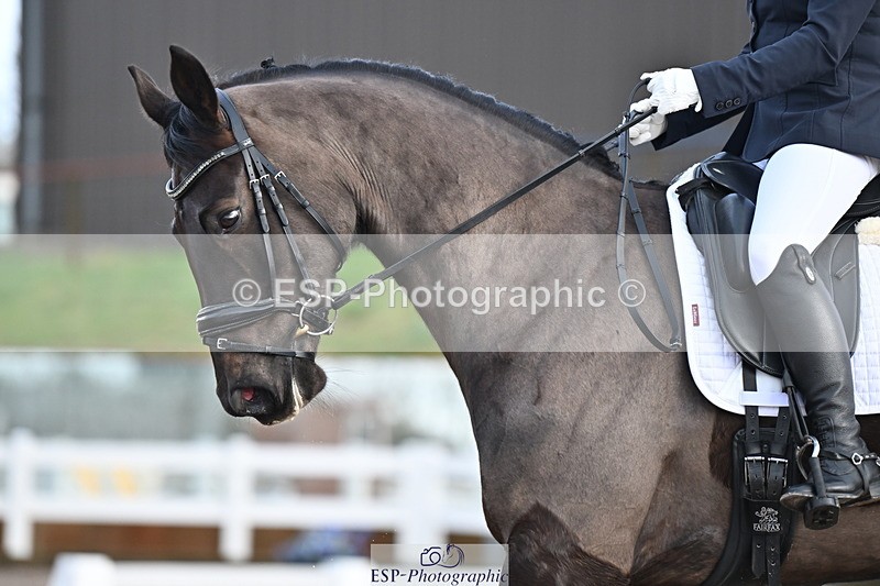 240218A-103922-05615 - 206-Sian.Axten-MSJ.Gabriella