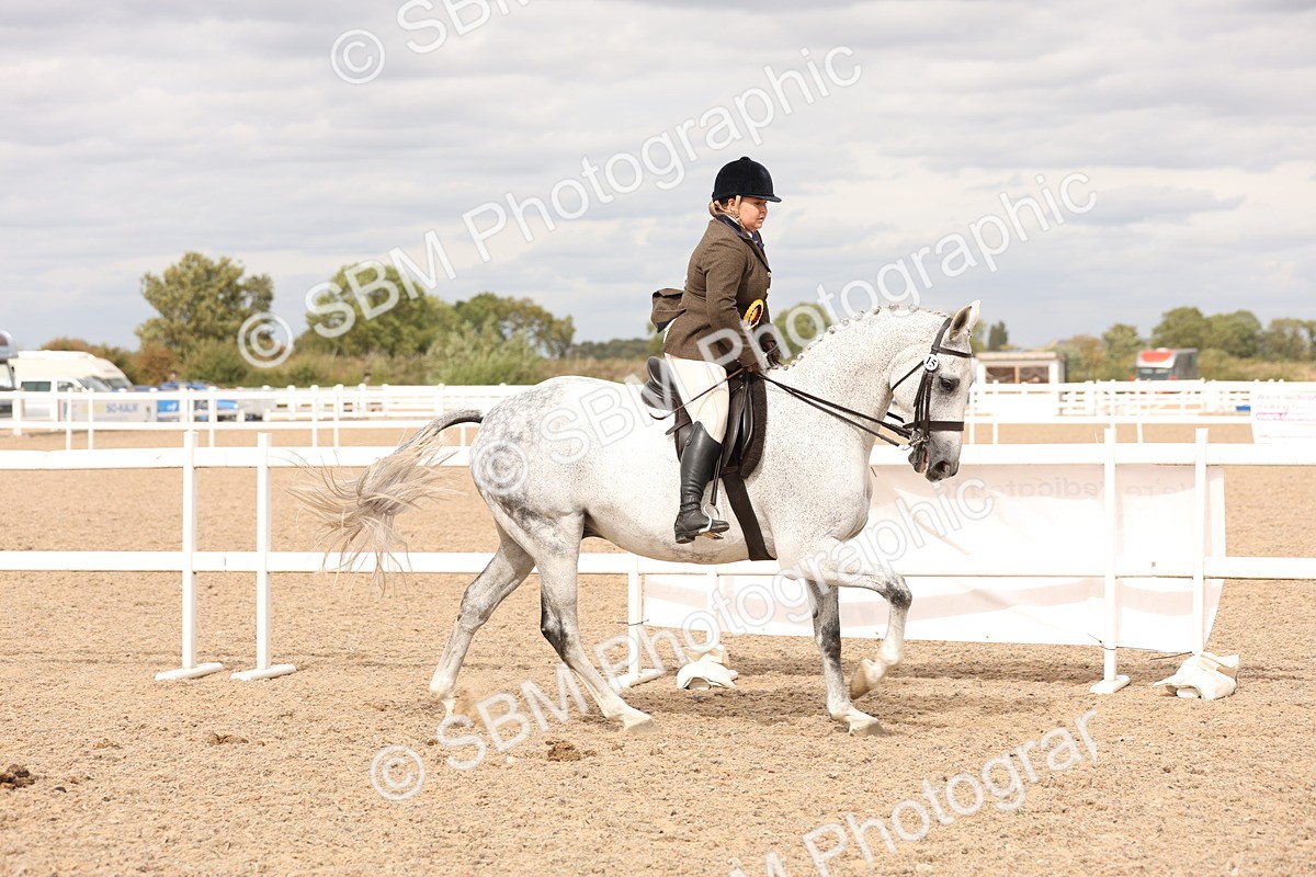 SBM_17289 - Class 213 - Ridden Hunter - Large