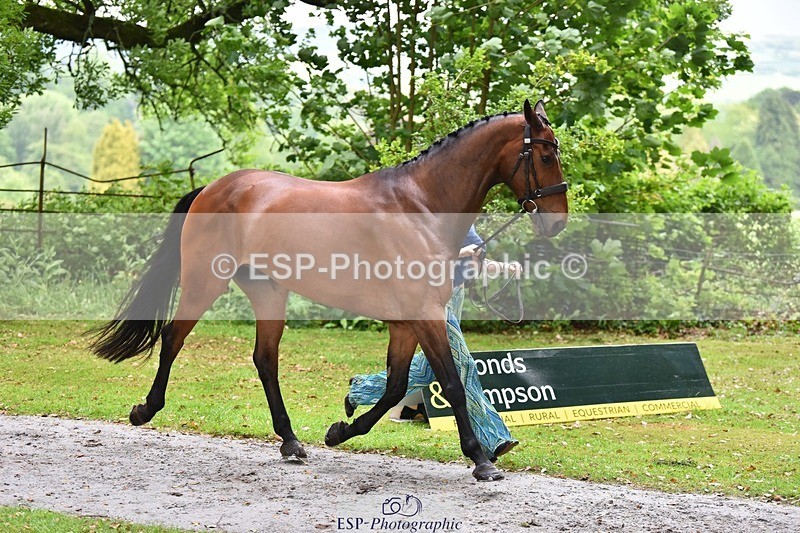 240522-160648-00723 - 154-K-Anya_Strilkowski