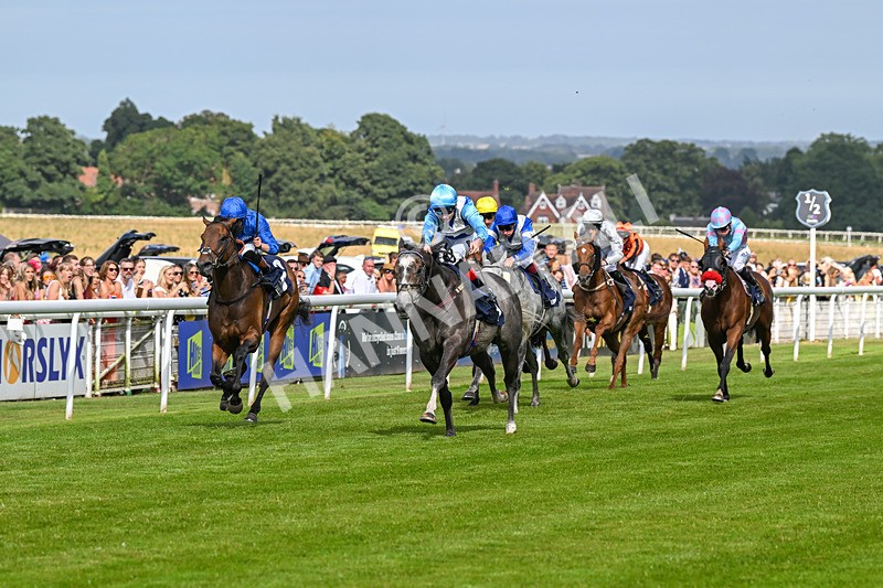 140824-Race 5-Havana Blue-6660 - Race 5