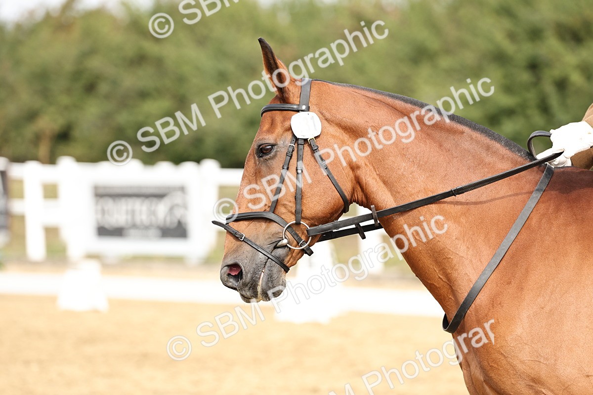 SBM_012449 - Class 2 - Prelim 5