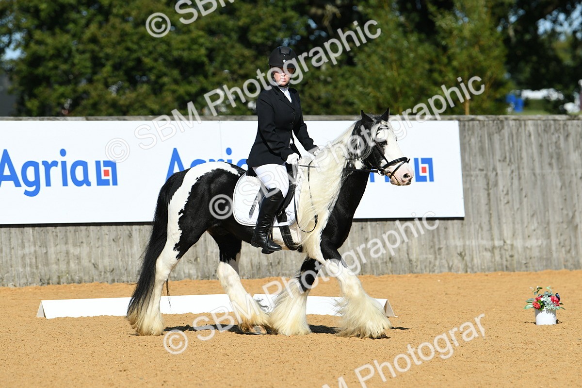 SBM_18063 - D4 - Small Tour Championship - Intro B