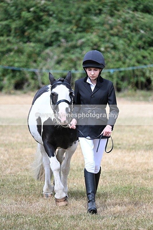WJ7_1702 - Class 4 Prettiest Mare up to 14.2hh in hand
