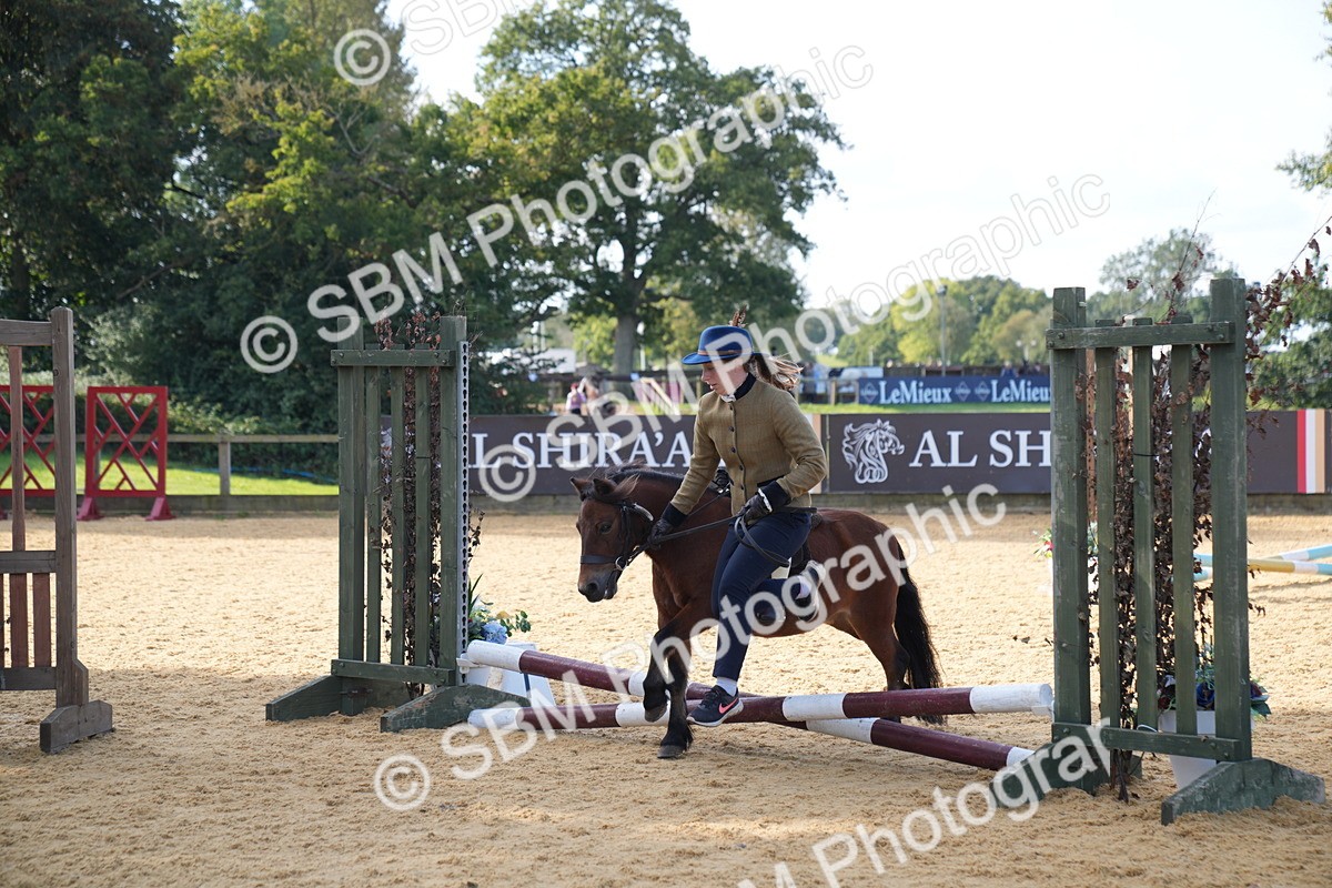 SBM_61414 - J1 - Mini Tour Junior Pony Lead Rein 30cm Championship