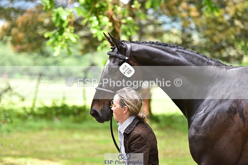 240522-153854-00500 - 370-STORM_IN_DECEMBER-Claire_Fielding