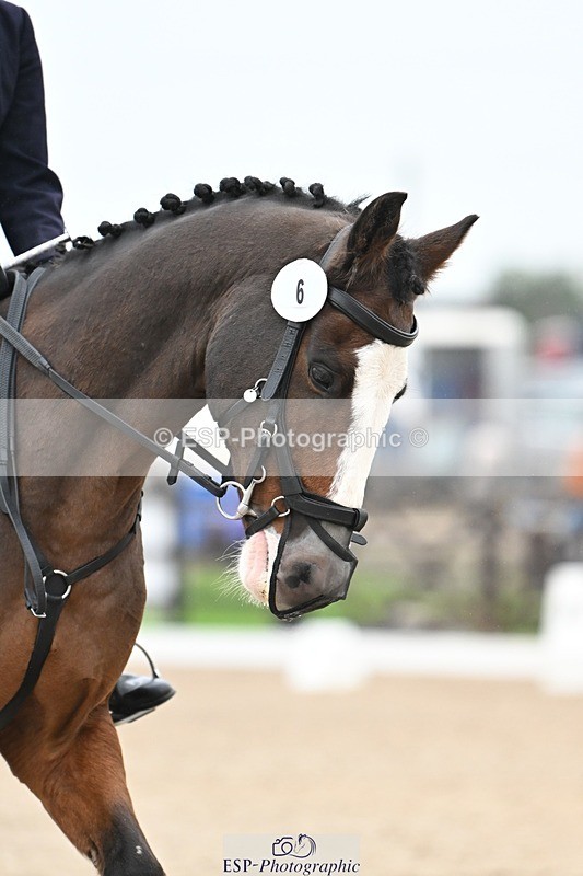 241103-103626-00372 - Intro 3 - 9.40 to 10.40