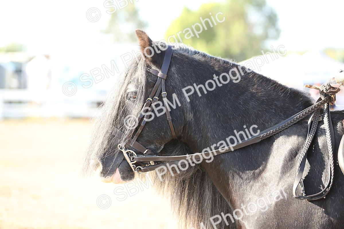 SBM_00417 - Class 41 Best Turned Out Ridden