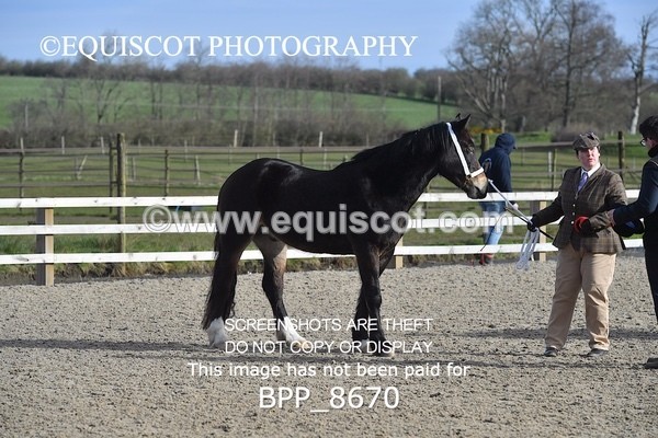 BPP_8670 - RING 2 - M&M